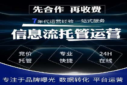 百度广告竞价策略详解：某电商平台的成功案例